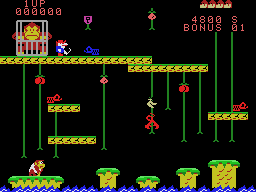 Donkey Kong Jr screenshot